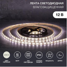 Лента светодиодная 12В, SMD5050, 14,4Вт/м, 60 LED/м, 4000К, 10мм, 3м, для БП с клеммами, IP65 LAMPER