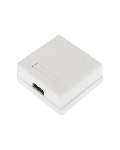 Розетка компьютерная внешняя, 2-порта RJ-45 (8P8C), UTP CAT 6 REXANT