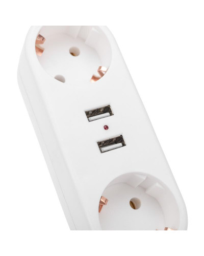 Двойник электрический линейный 16А с/з + 2 USB-порта, 2,4 А, белый REXANT