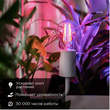 Лампа филаментная для растений Груша A60 11,5Вт 18 микромоль/с E27 REXANT