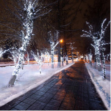 Гирлянда LED Клип-лайт 12 V, прозрачный ПВХ, 150 мм, цвет диодов белый