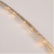 Дюралайт LED, свечение с динамикой (3W), 24 LED/м, ТЕПЛЫЙ БЕЛЫЙ, 6м