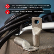 Наконечник медный луженый ТМЛ 95–12–15 (95мм² - Ø12мм) ГОСТ 7386-80 (в упак. 2 шт.) REXANT