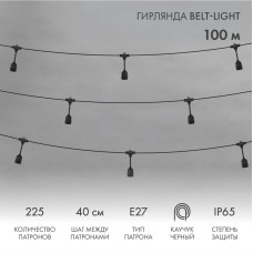 Гирлянда Belt-Light 2 жилы, 100м, шаг 40см, 225 подвесных патронов Е27, IP65, черный круглый провод NEON-NIGHT