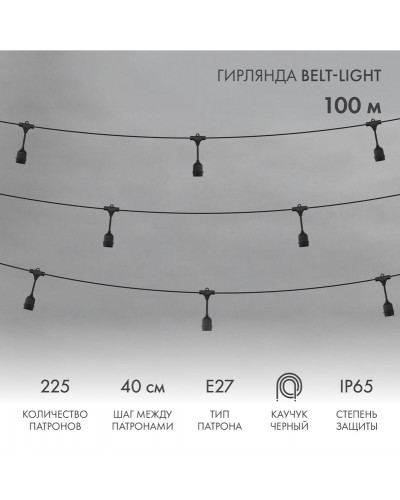 Гирлянда Belt-Light 2 жилы, 100м, шаг 40см, 225 подвесных патронов Е27, IP65, черный круглый провод NEON-NIGHT