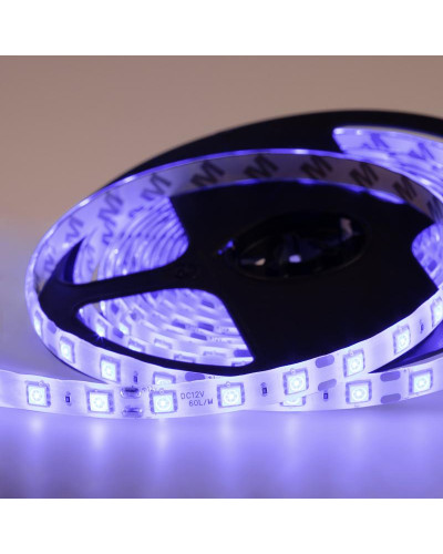 Лента светодиодная 12В, SMD5050, 14,4Вт/м, 60 LED/м, синий, 10мм, 5м, IP65 LAMPER