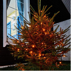 Гирлянда Нить управляемая 10м 100 LED ОРАНЖЕВЫЙ черный ПВХ IP65 свечение с динамикой 230В контроллер в комплекте NEON-NIGHT