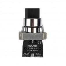 Переключатель BD21 2P короткая ручка NO