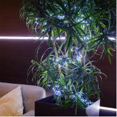 Гирлянда Кластер LED 3 м, темно-зеленый ПВХ IP20, 288 диодов, цвет белый